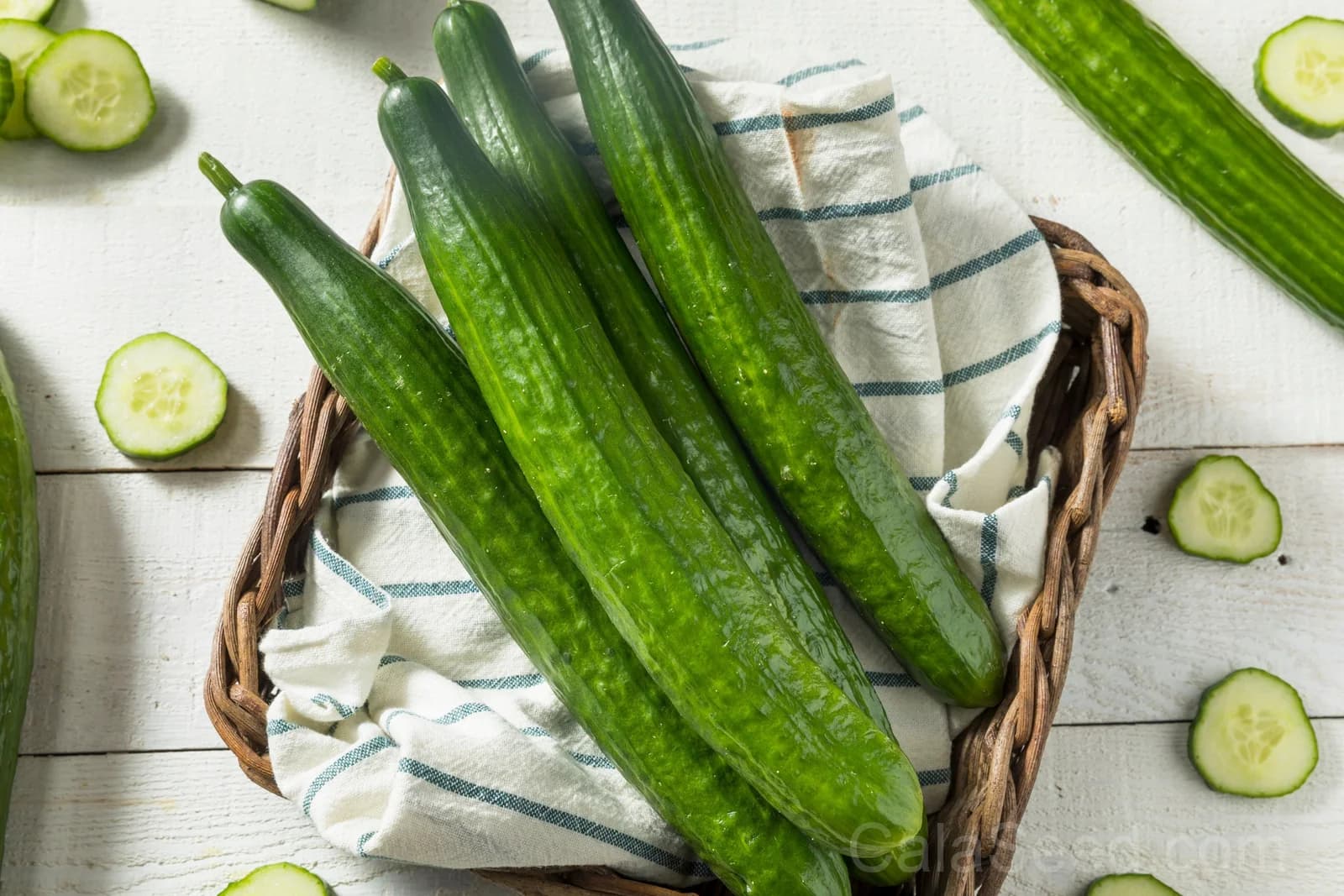 English Cucumber 'Burpless' Seeds — Smooth Skin No Bitterness - View 4