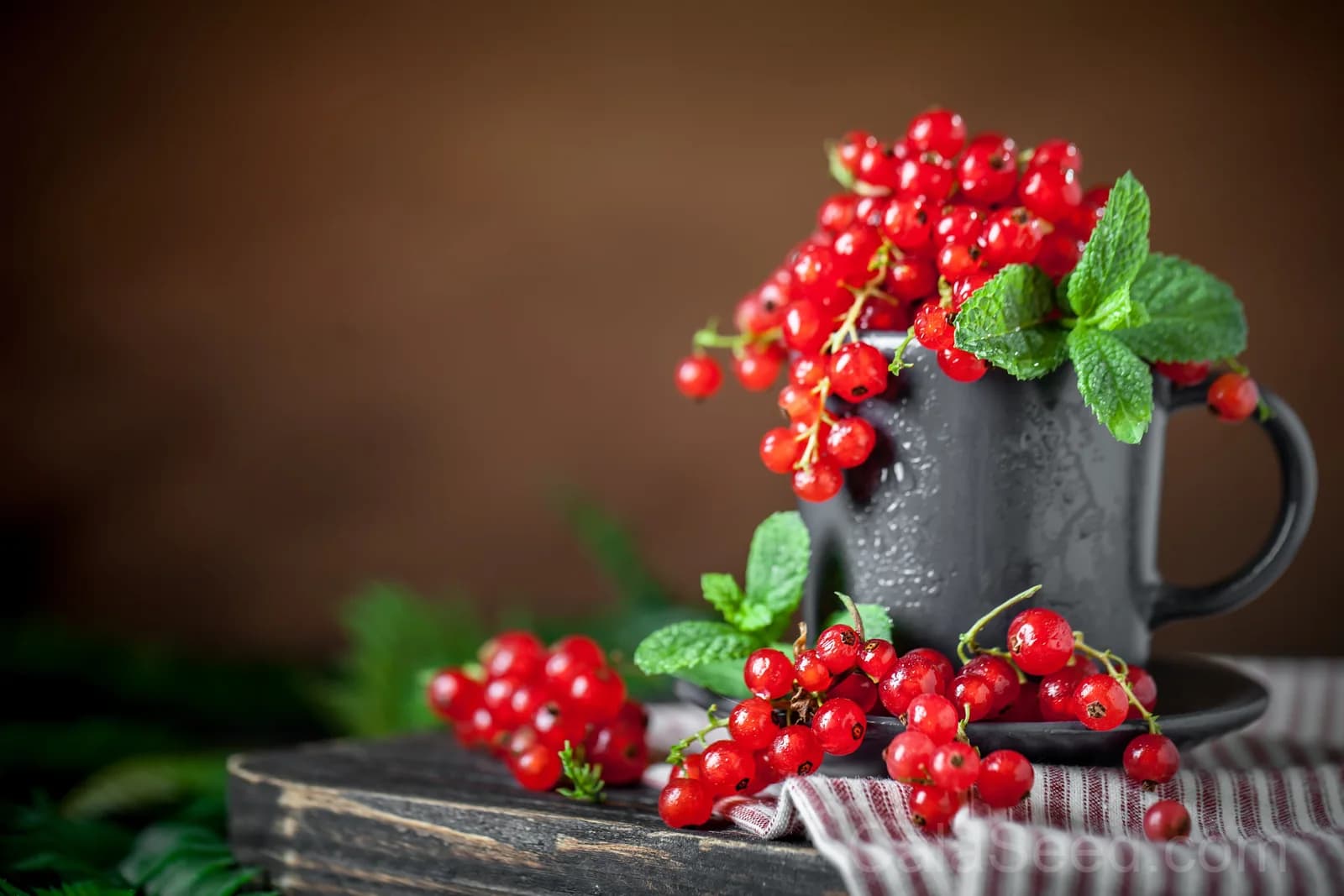 Red Wax Currant 'Ribes Cereum' Seeds — Edible Pink-Flowered Shrub - View 7