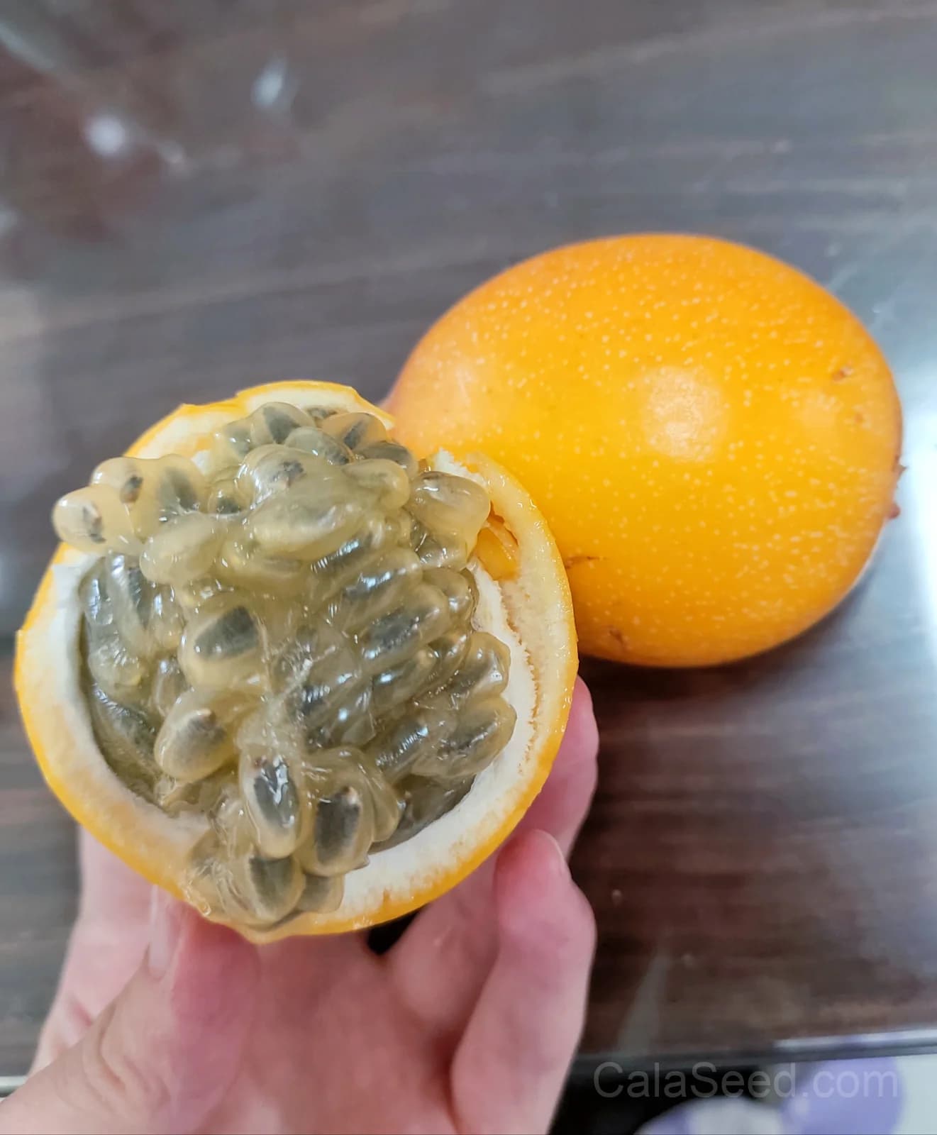 Blue Crown Passion Flower Seeds — Orange Fruit Vine - View 8