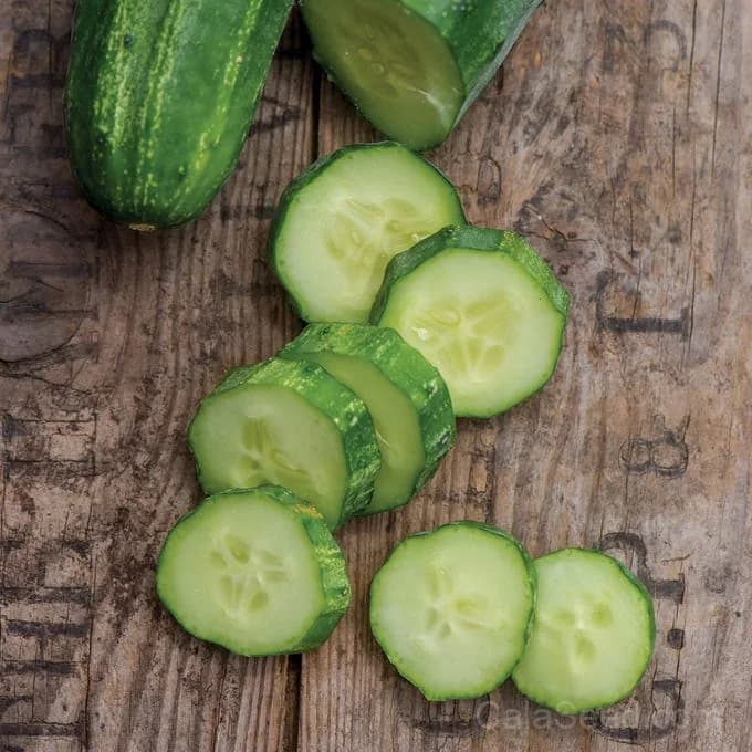 Bush Champion Cucumber Seeds — High-Yield Garden Favorite - View 3