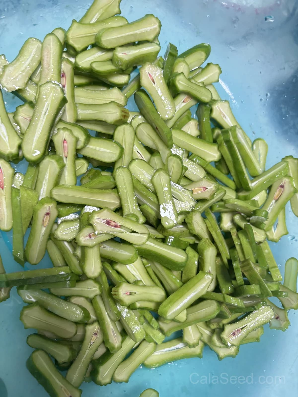 Lima Burpee's Bush Bean Seeds — Compact High-Yield Vegetable - View 4