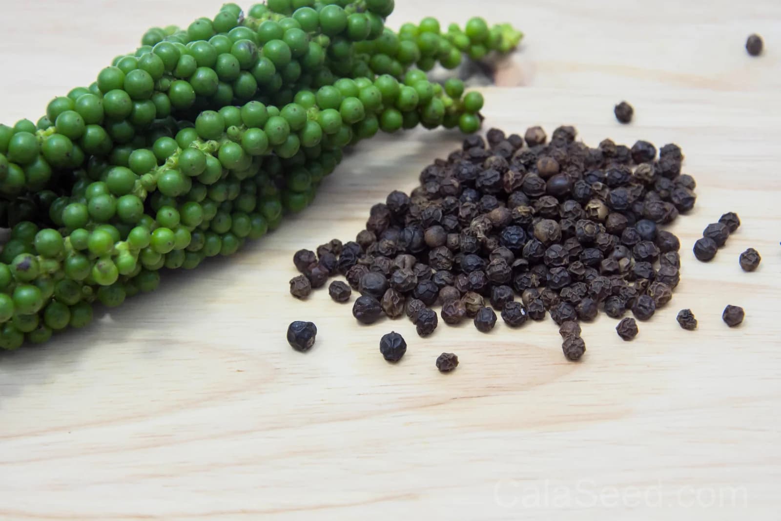 Black Peppercorn 'Piper Nigrum' Seeds — Spice Vine for Cooking - View 9