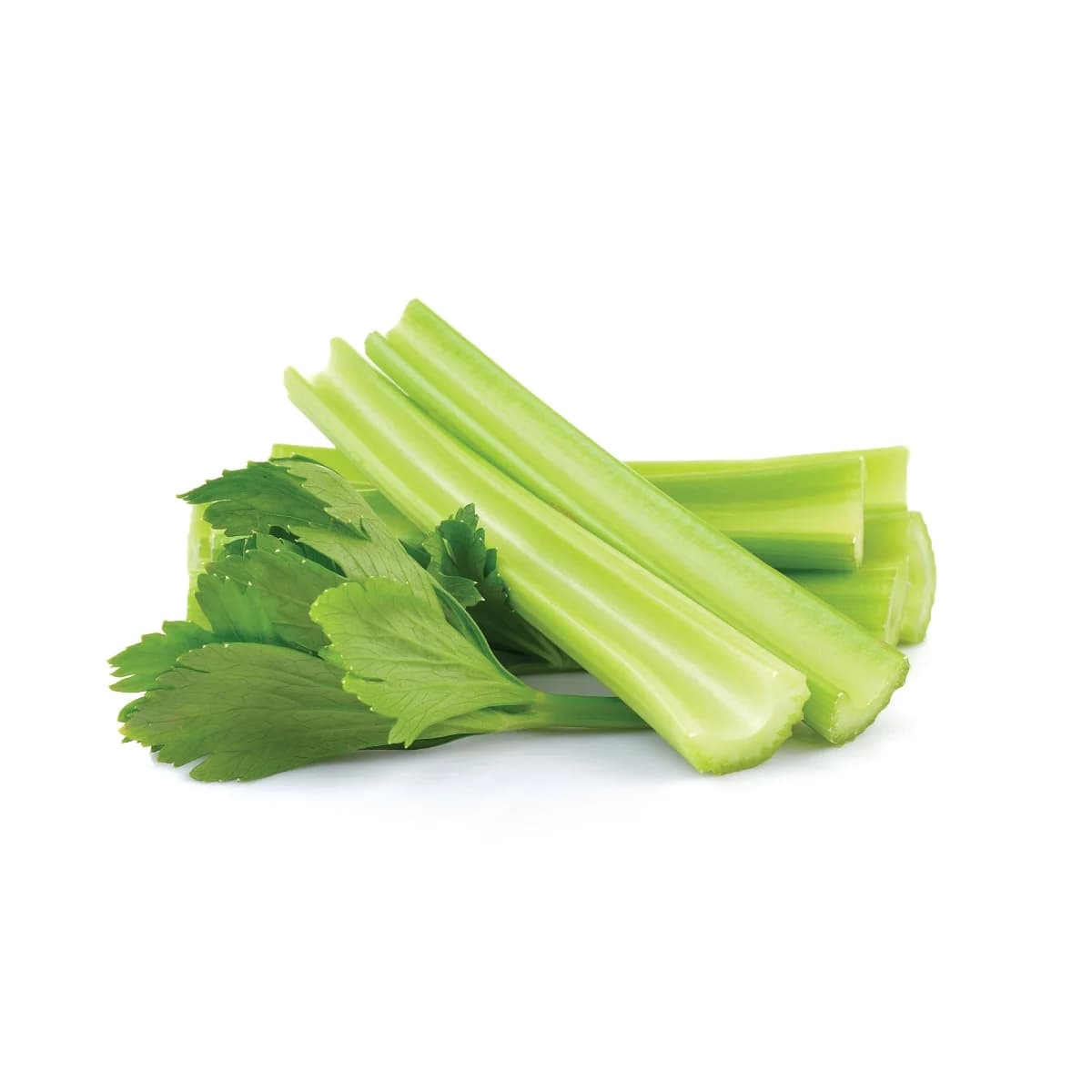 Tall Utah 52-70R Celery Seeds — Improved Disease-Resistant Stalks - View 5