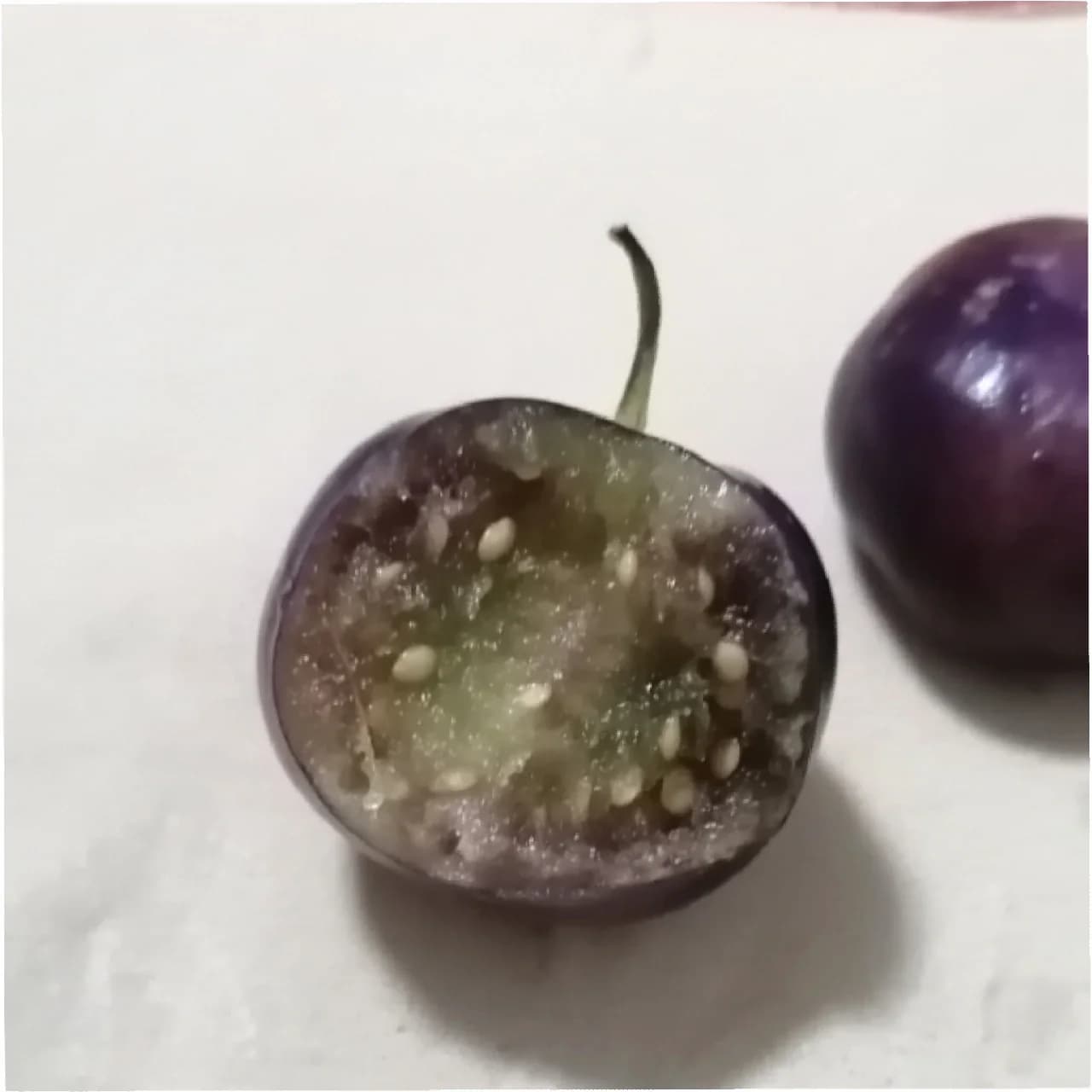 Purple Tomatillo 'Physalis Ixocarpa' Seeds — Husk Tomato for Salsas - View 9
