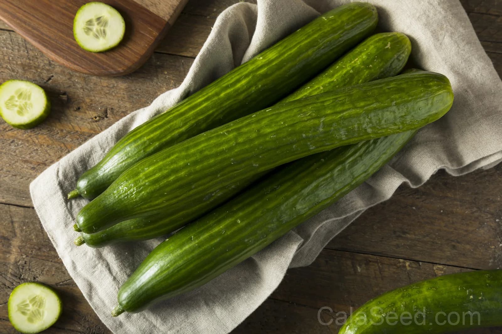 English Cucumber 'Burpless' Seeds — Smooth Skin No Bitterness - View 2