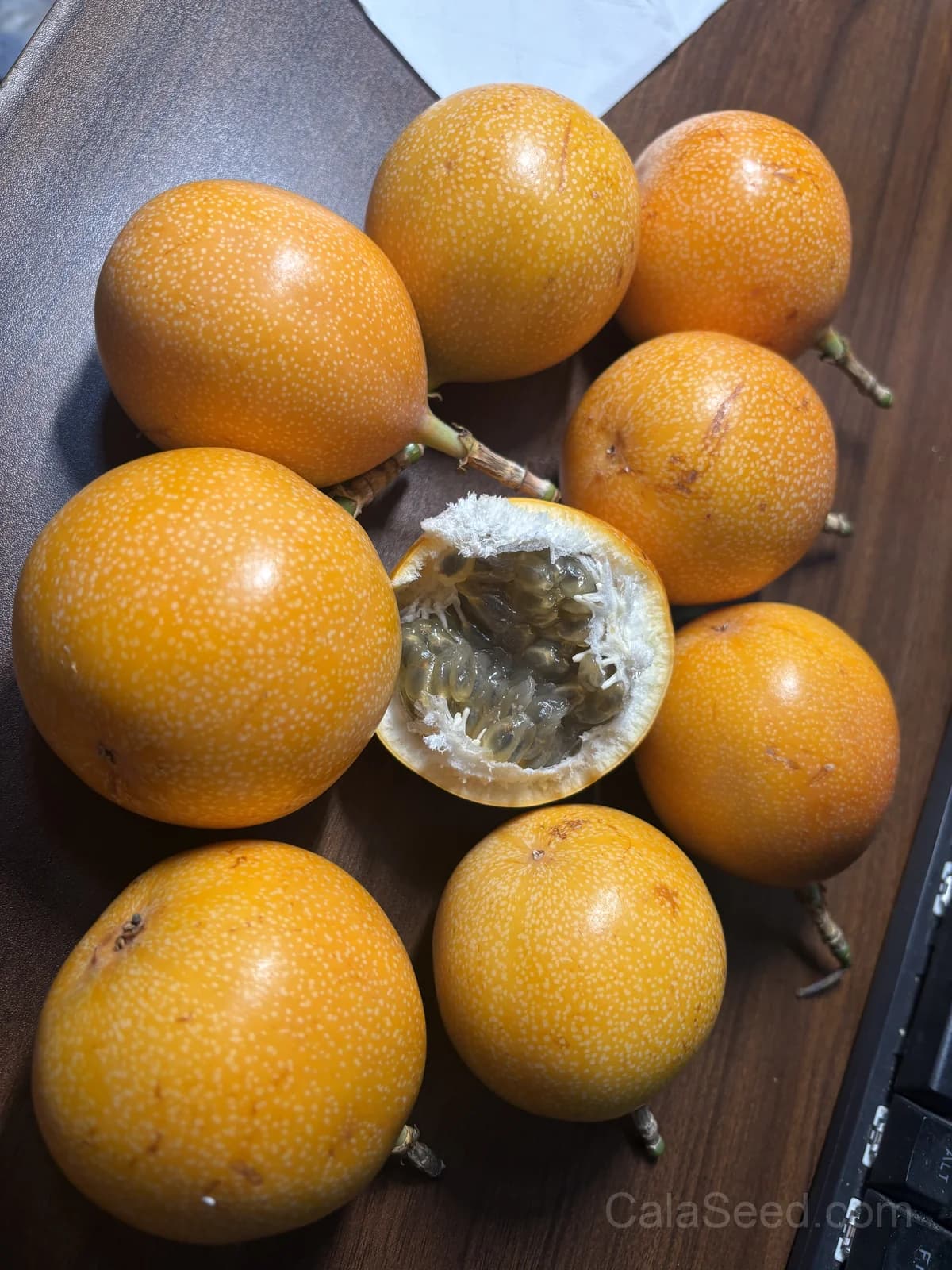 Blue Crown Passion Flower Seeds — Orange Fruit Vine - View 7