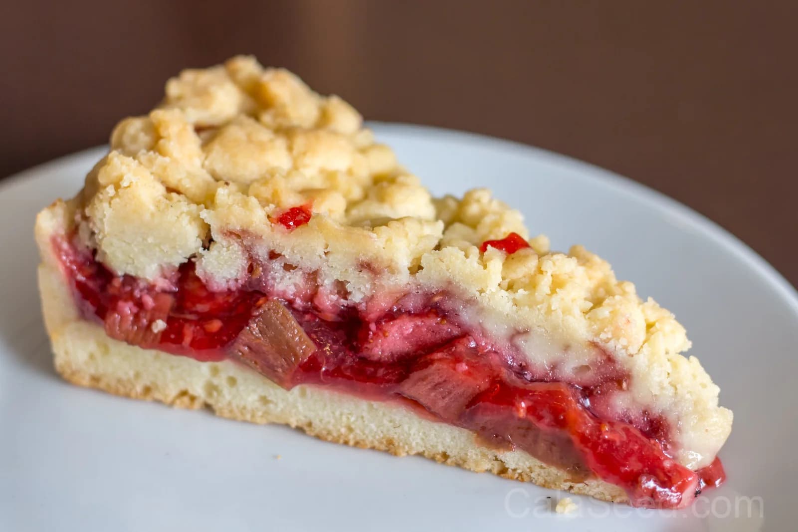 Victoria Rhubarb Seeds — Classic Pieplant Perennial - View 9