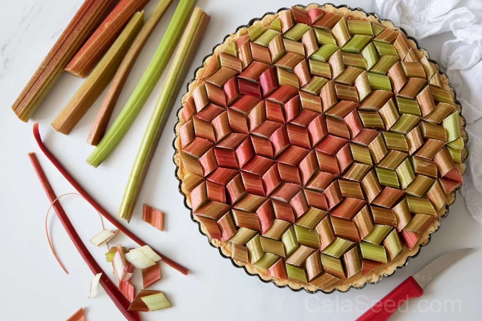 Glaskins Perpetual Rhubarb Seeds — Classic Pieplant Vegetable - View 8