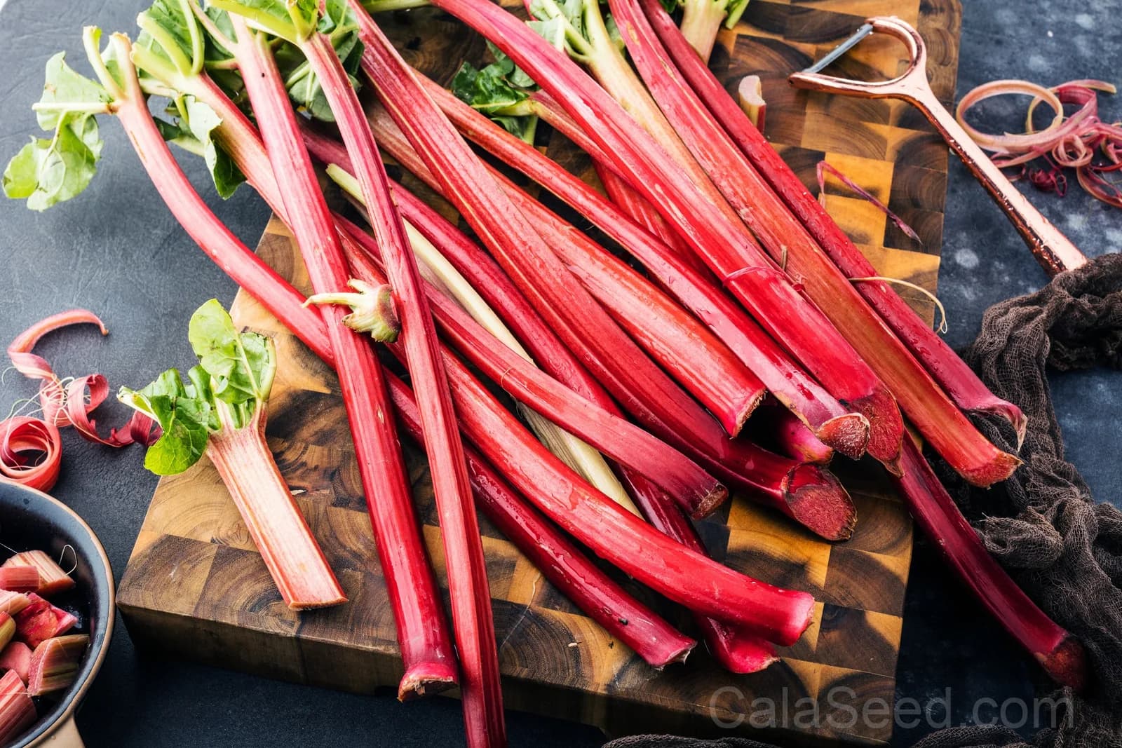 Victoria Rhubarb Seeds — Classic Pieplant Perennial - View 3