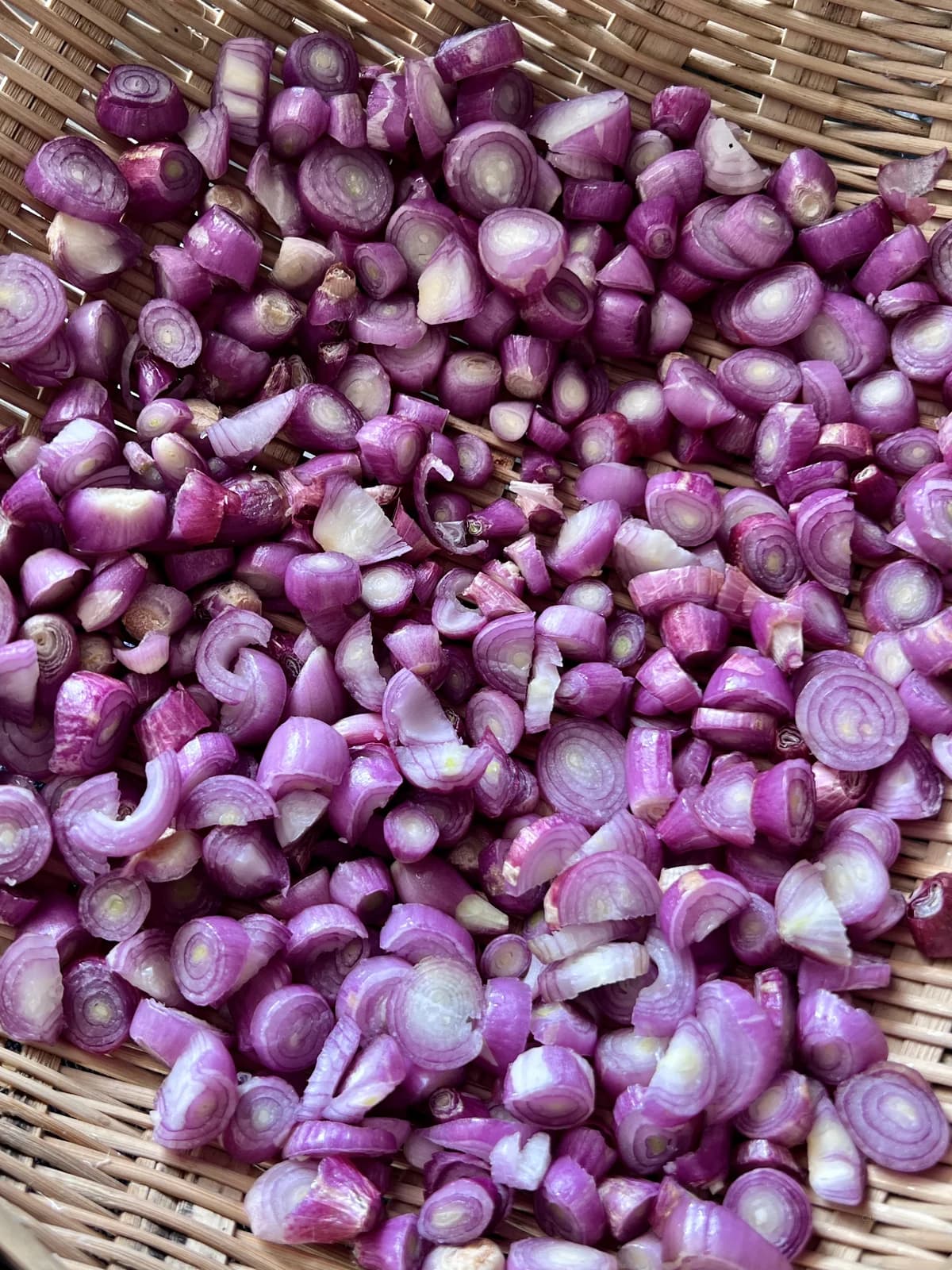Davidor Shallots Seeds — Gourmet French Culinary Bulb - View 8