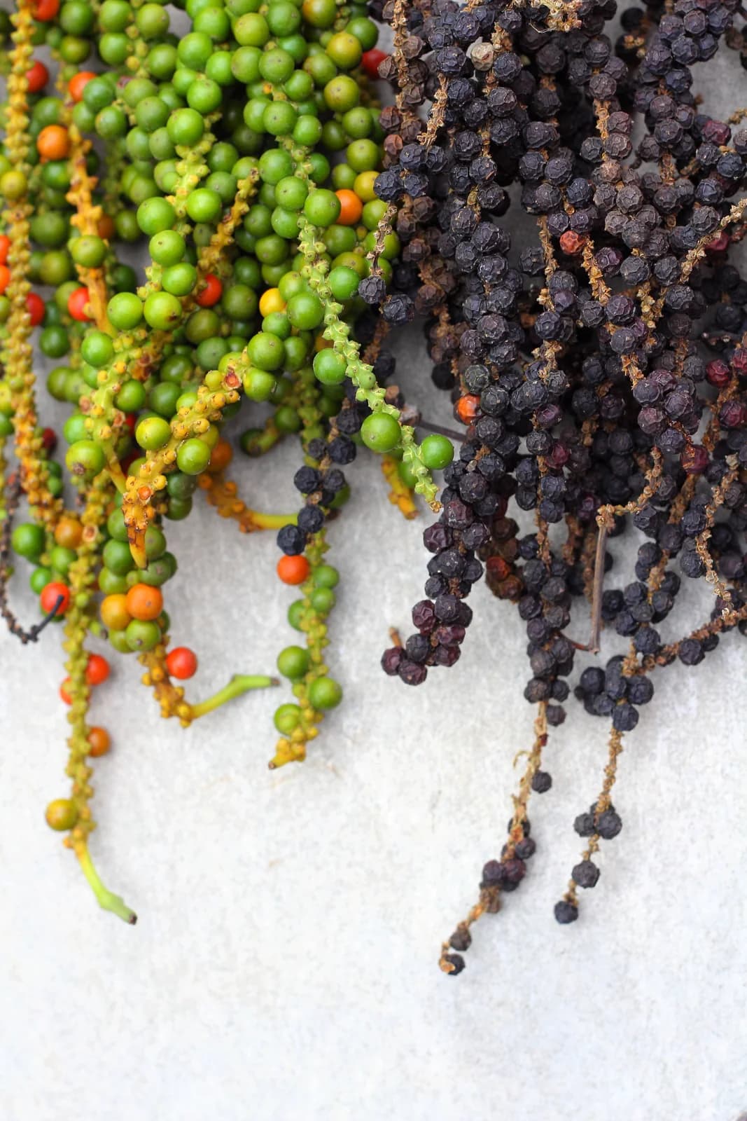 Black Peppercorn 'Piper Nigrum' Seeds — Spice Vine for Cooking - View 10