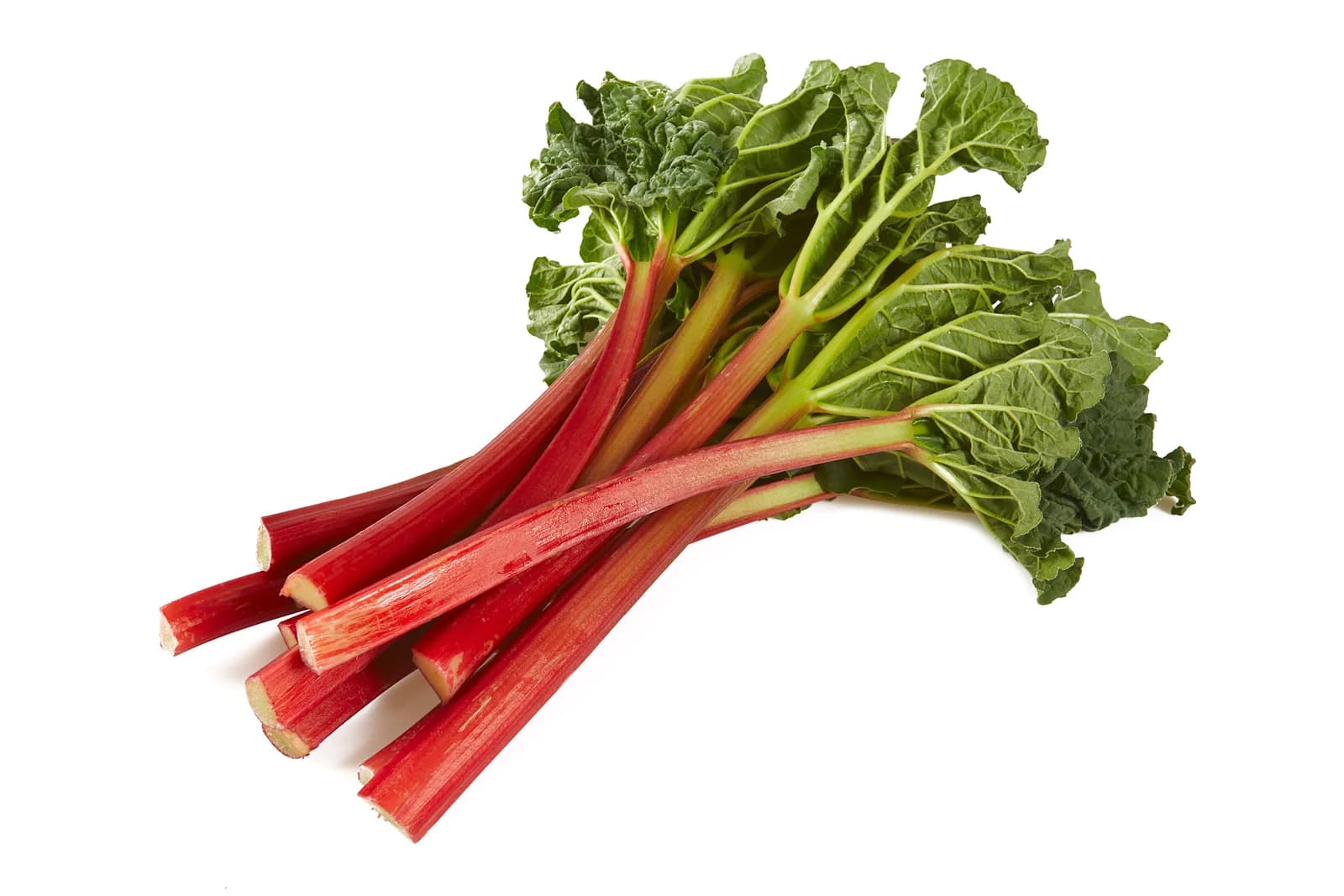Victoria Rhubarb Seeds — Classic Pieplant Perennial - View 6