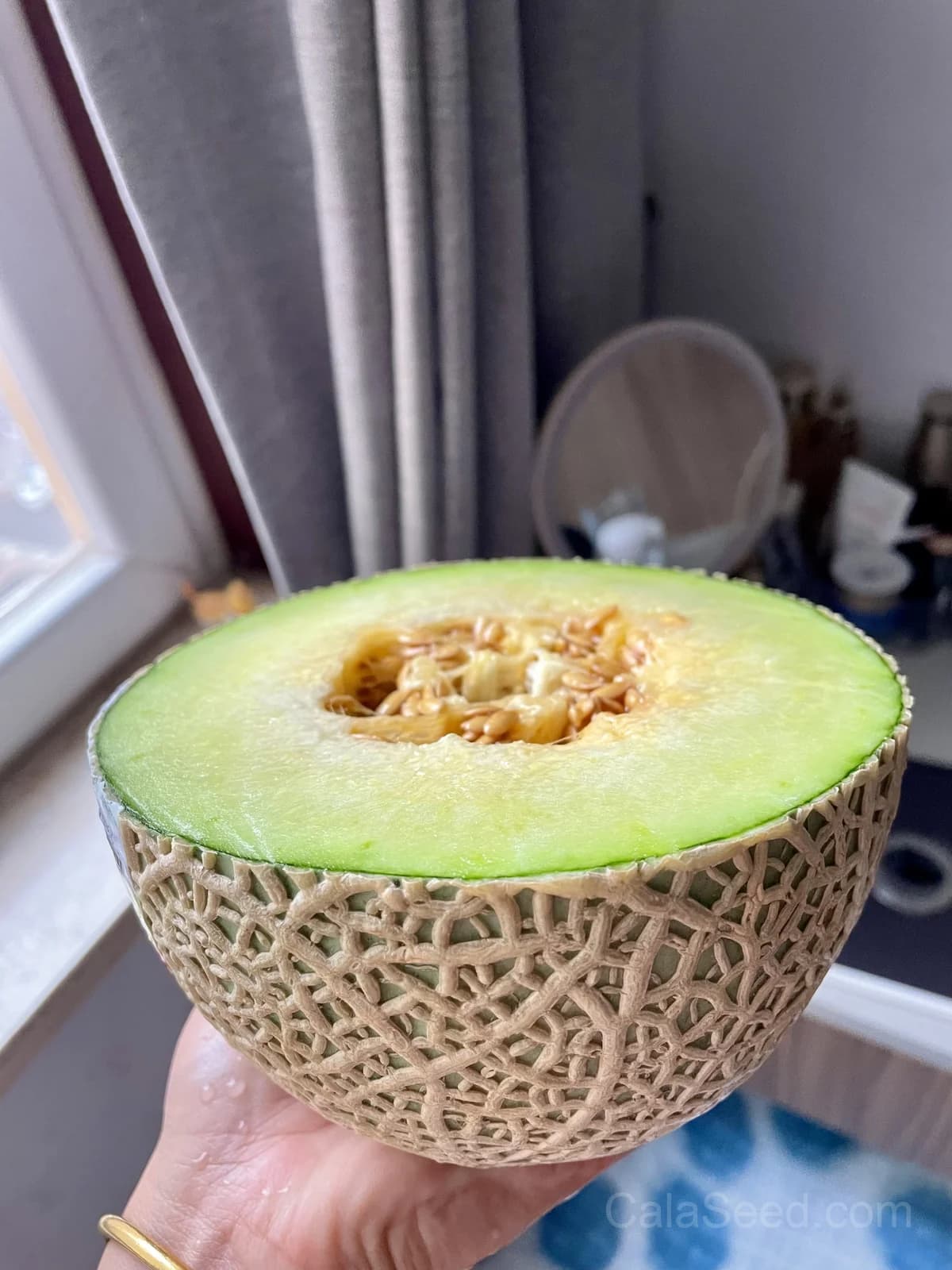 Cantaloupe 'Hearts of Gold' Seeds β Sweet Aromatic Melon - View 2