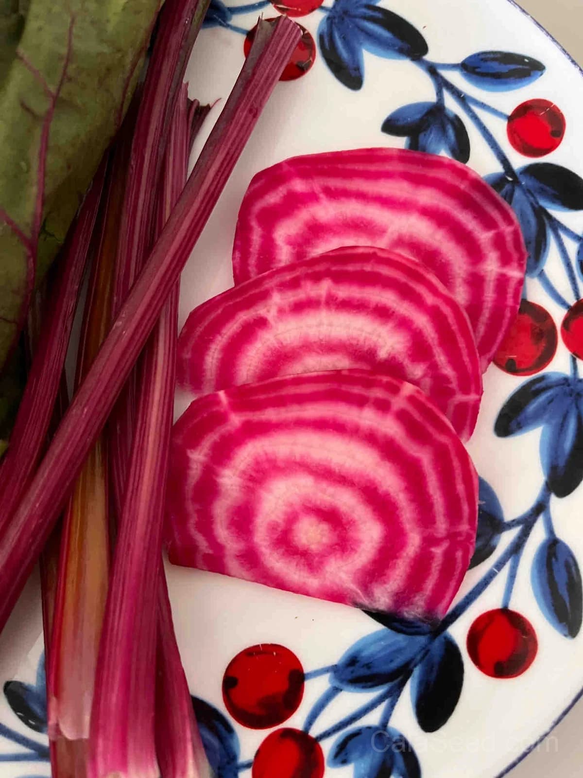 Chioggia Beet Seeds — Candy-Striped Heirloom Root - View 4
