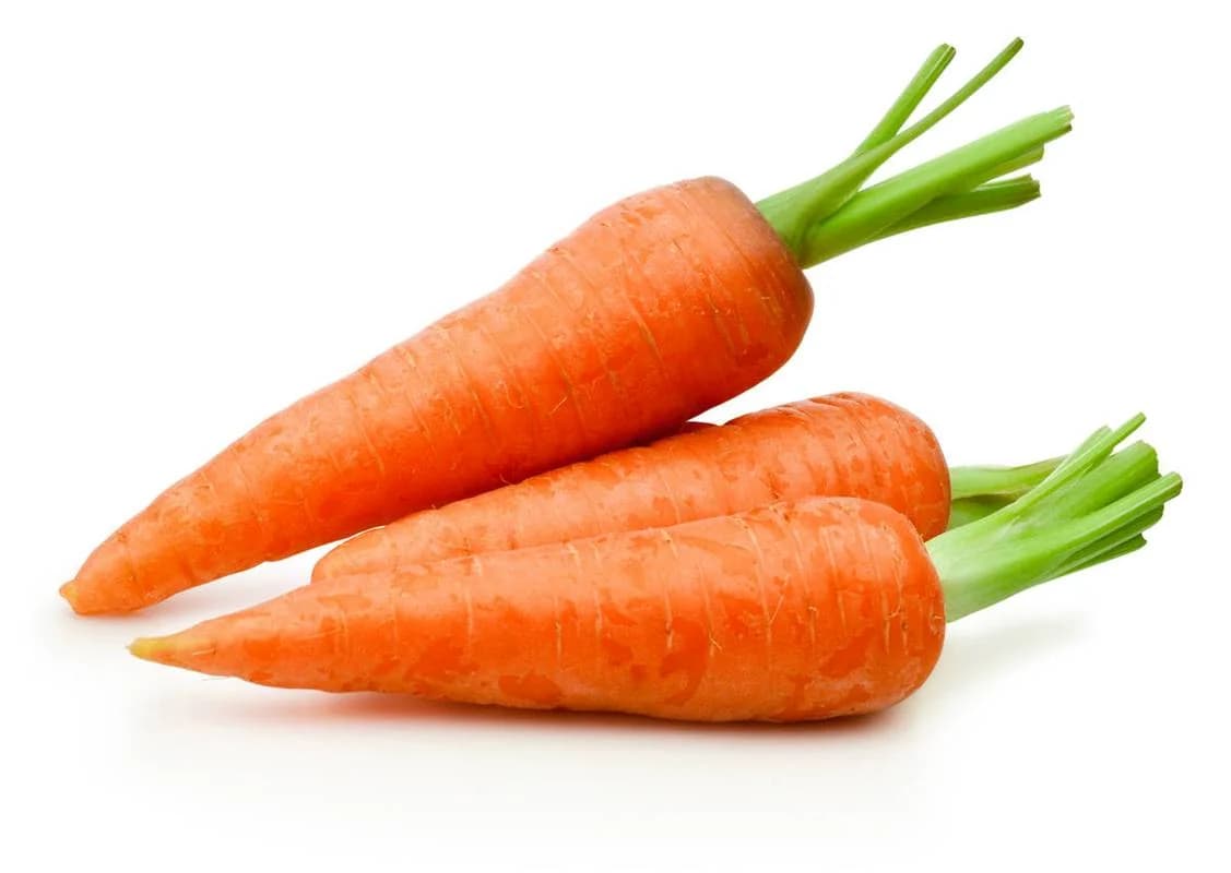 Danvers 126 Carrot Seeds — Classic Heirloom Root Vegetable - View 2